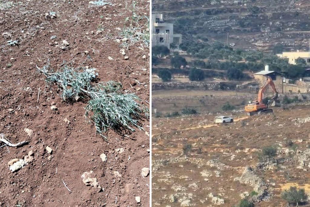 مستوطنون  يواصلون أعمال تجريف في أراضي عقربا