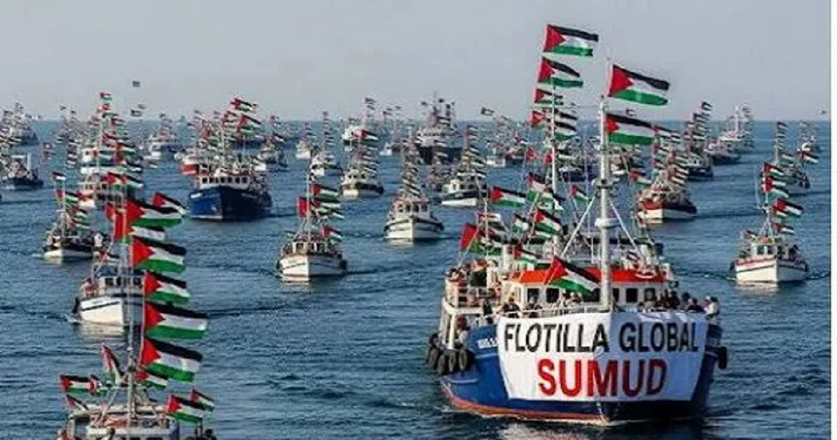 عريضة تواقيع لمنظمات المجتمع المدني الفلسطيني  تستنكر الاعتداء على اسطول الصمود  