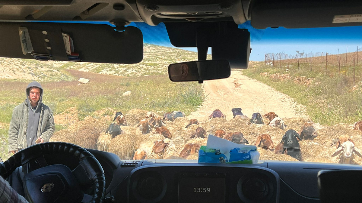 مستوطنون يعتدون على طاقم طبي فلسطيني بمسافر يطا 