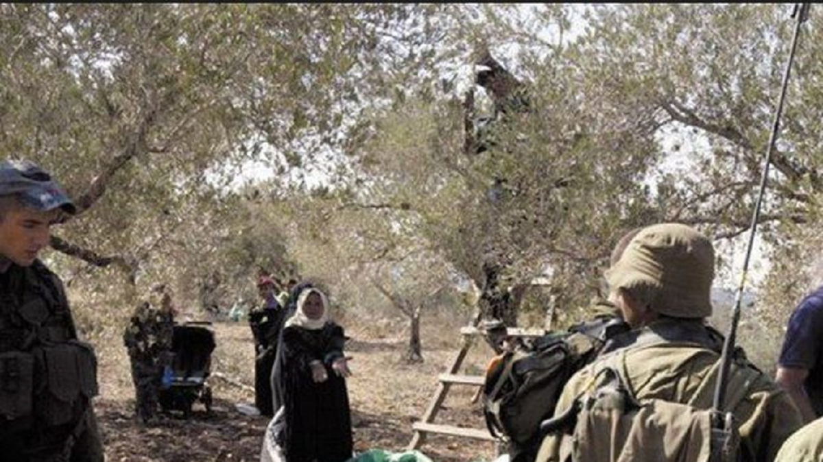 أبرز اعتداءات المستوطنين في  محافظات الضفة 