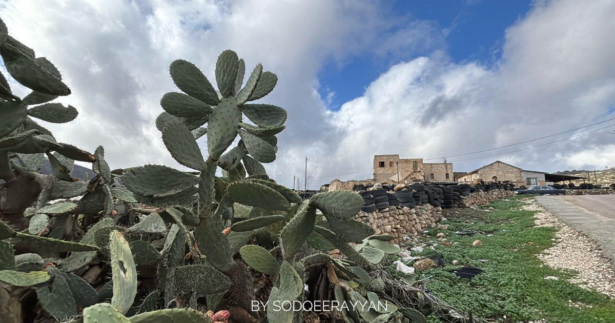 خربة يانون .. حكاية تاريخ لا ينتهي وتشبث بالأرض قل نظيره 