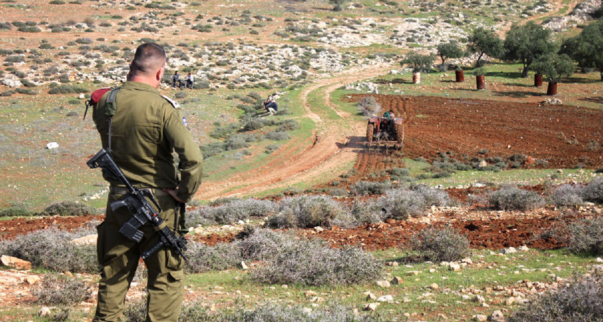 معطيات لجهاز الاحصاء في يوم الأرض : الاحتلال استولى على 6 آلاف دونم منذ العام 2025  .. والمزيد من الاراضي تحت بند المصادرة