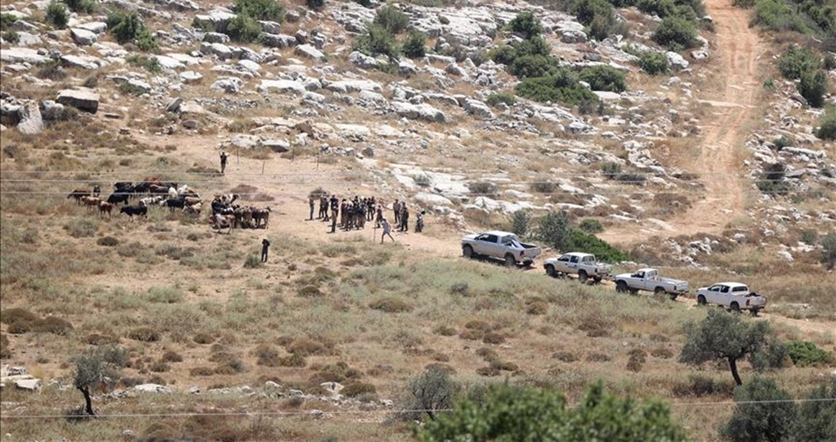 مستوطنون يقيمون بؤرة جديدة على أراضي كفر قدوم 