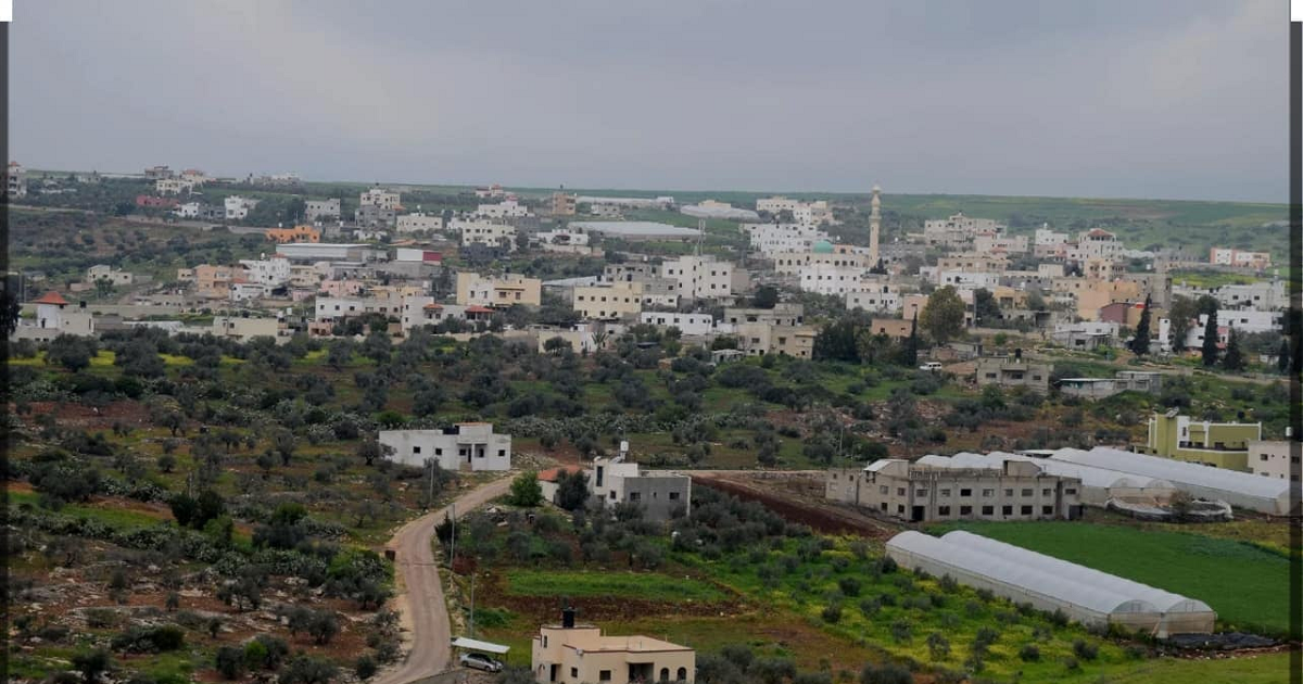 تقرير : إجراءات الاحتلال التعسفية تحرم المزارعين من موسم الزيتون وتدمر حياة المواطنين في "جلبون" الحدودية