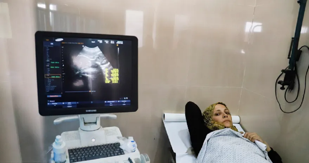 تعاني من الجوع والهزال .. امرأة حامل بغزة لا ترجو سوى وضع مولود سليم