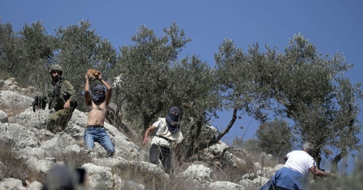 مستوطنون يستولون على تلة تاريخية في جبع  .. والاحتلال يواصل عدوانه على مخيمات جنين وطولكرم 