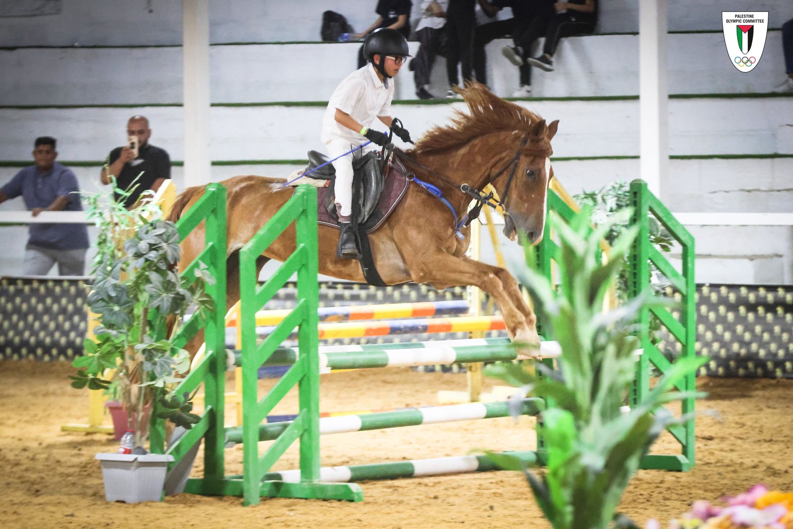 اتحاد الفروسية يفتتح باكورة بطولاته بتنظيم الجولة الأولى من دوري قفز الحواجز