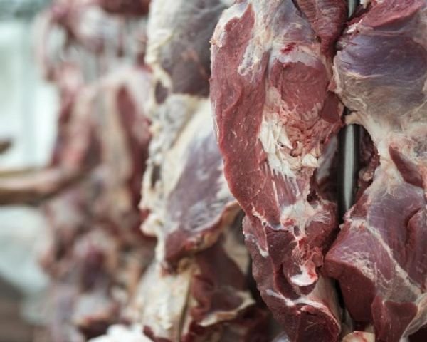 الاقتصاد  تحيل صاحب ملحمة للنيابة وتخطر 500 ملحمة للتقيد بالسقف السعري