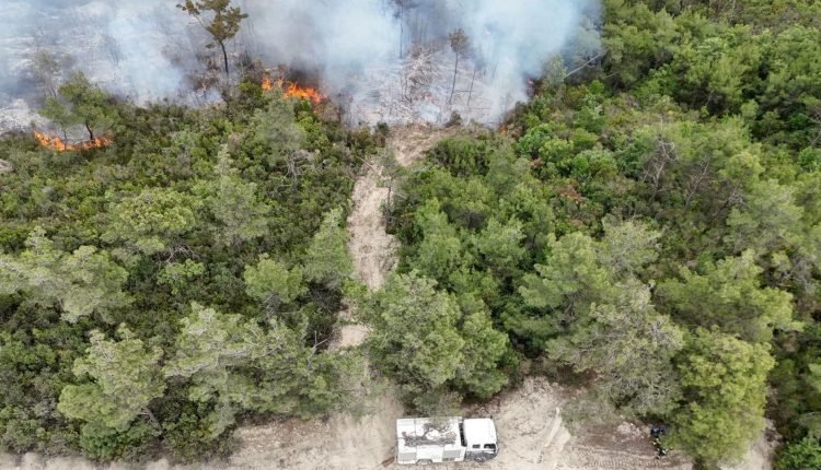 احتراق أكثر من 30 هكتارا بريف اللاذقية دون أضرار سكنية