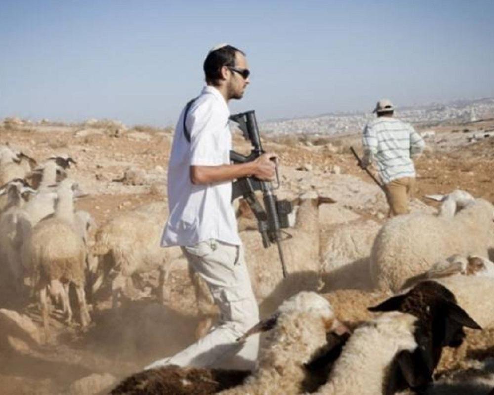  مستوطن يصيب طفلة برأسها في الخليل