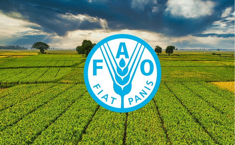 فاو: أسعار الغذاء العالمية تسجل أعلى مستوى في عامين خلال تموز