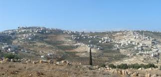 الاحتلال يباشر في شق طريق استيطاني في بلدة تقوع