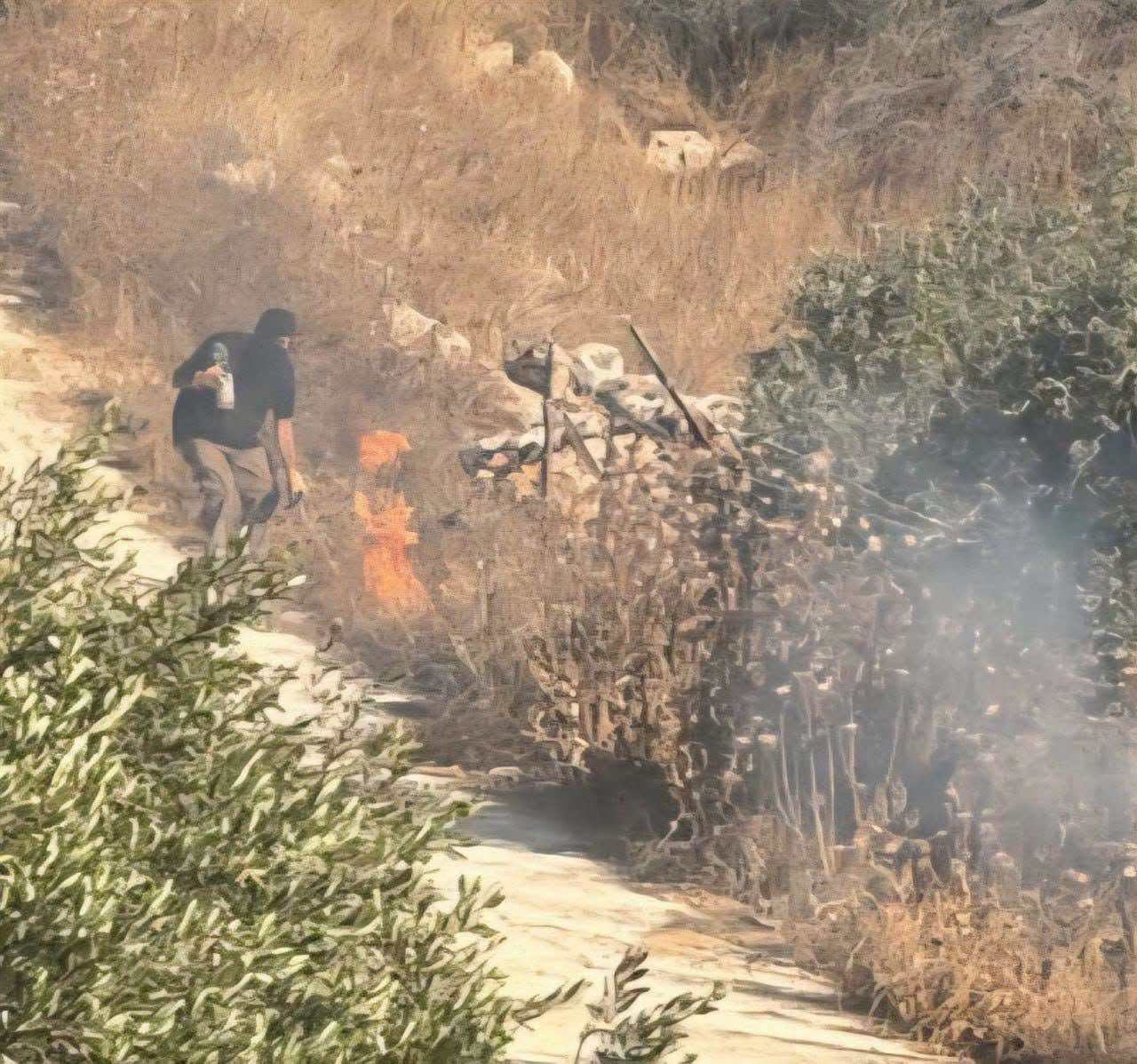 مستوطنون يهاجمون منازل المواطنين ويضرمون النار بأراض زراعية في برقا