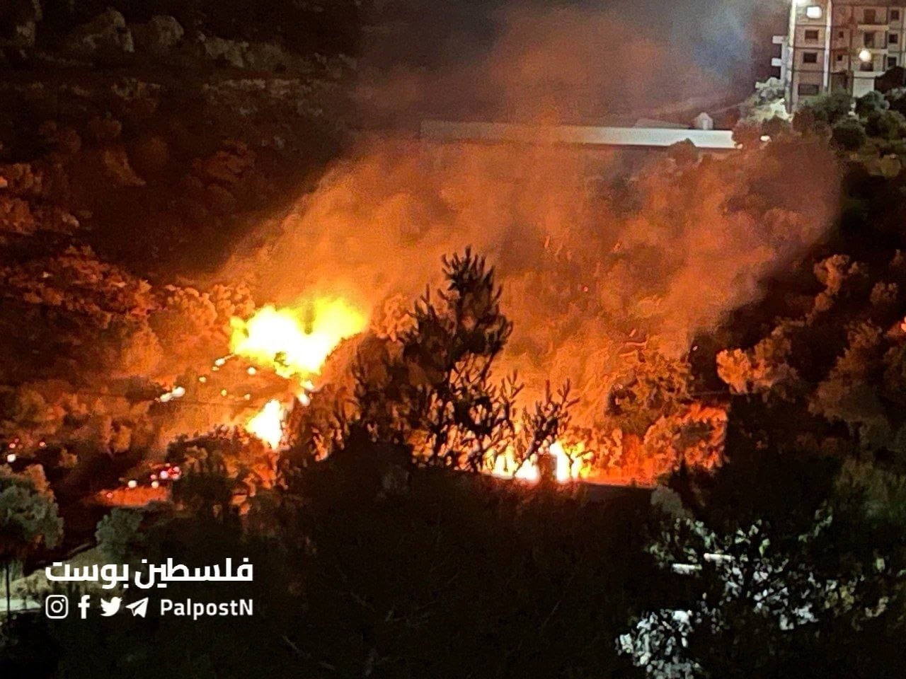 مستوطنون يشعلون النيران في أراضي المواطنين بقرية جالود