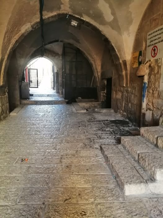 الست أميلا... 