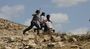 3 إصابات جراء  اعتداء مستوطنين على المواطنين  في الأغوار الشمالية