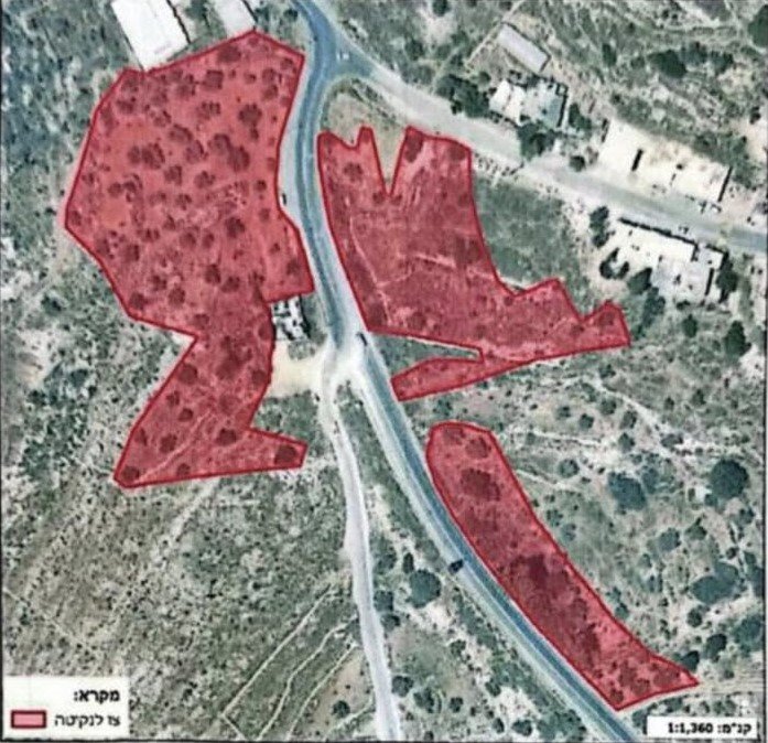  الاحتلال يصدر قرارا باقتلاع أشجار من أراضي راس كركر وكفر نعمة