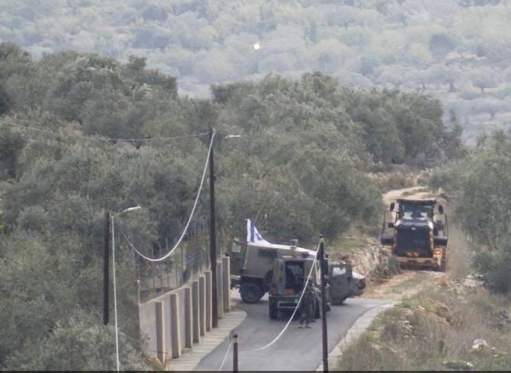 الاحتلال يجرف أراضي ويقتلع أشجار زيتون في ترمسعيا