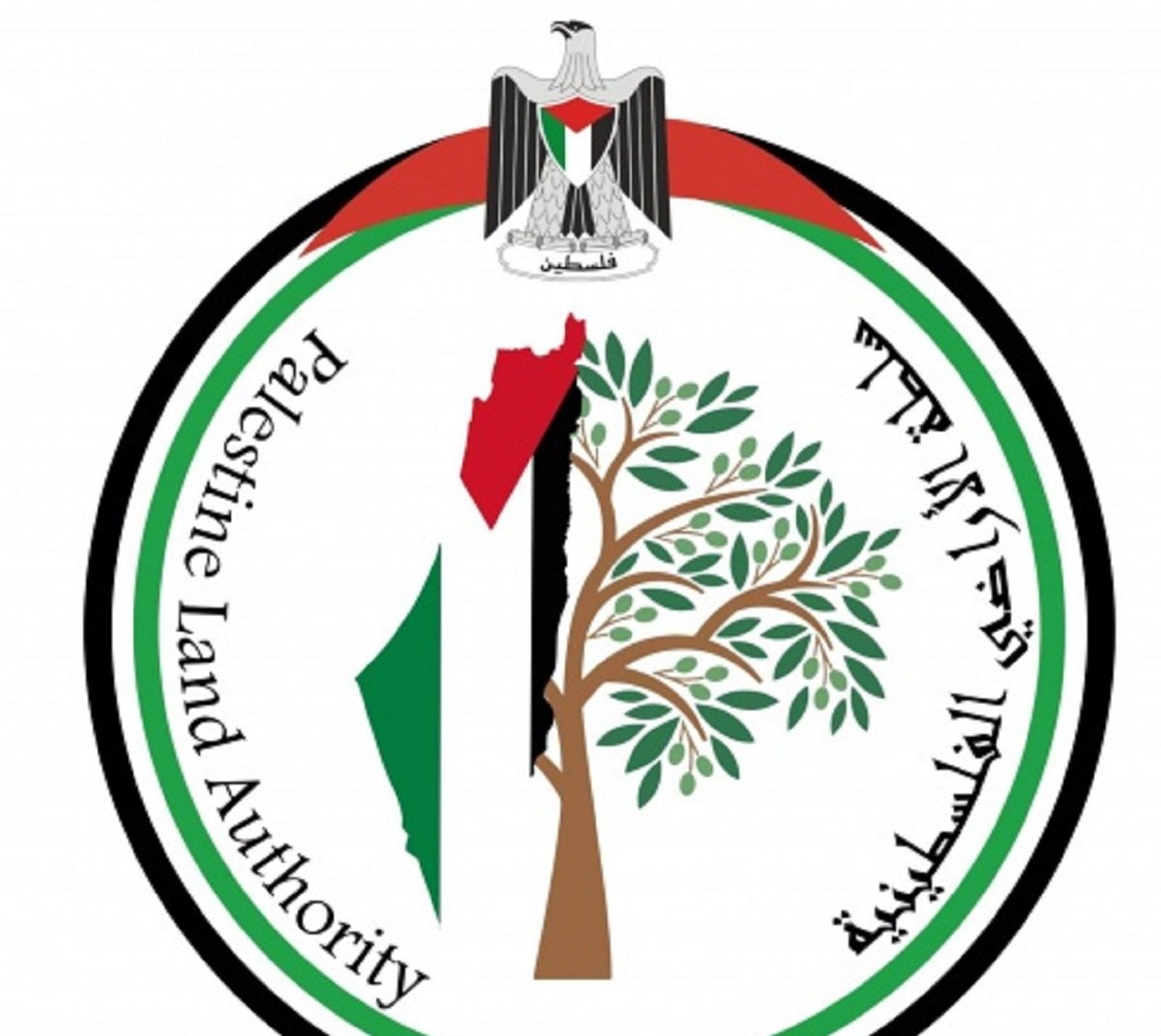 سلطة الأراضي تعلن تعليق 18 حوض تسوية للاعتراض في 6 محافظات 